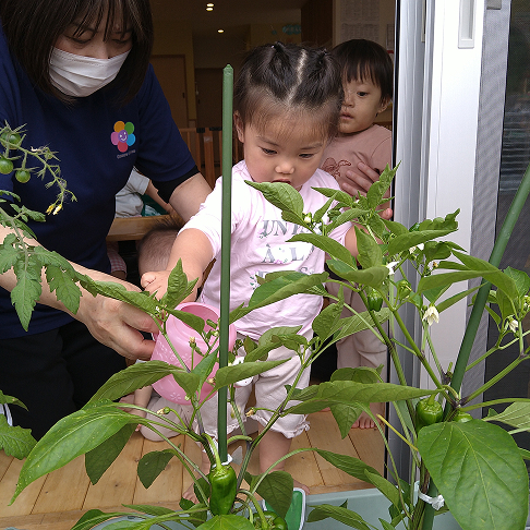 外でお花を観察中