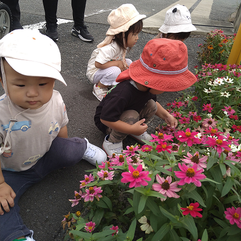 外でお花を観察中